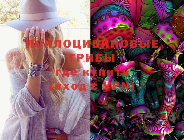 прущие грибы Алексеевка
