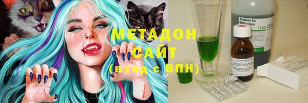 индика Няндома