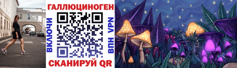 купить наркотики сайты  Пугачёв  Псилоцибиновые грибы GOLDEN TEACHER 